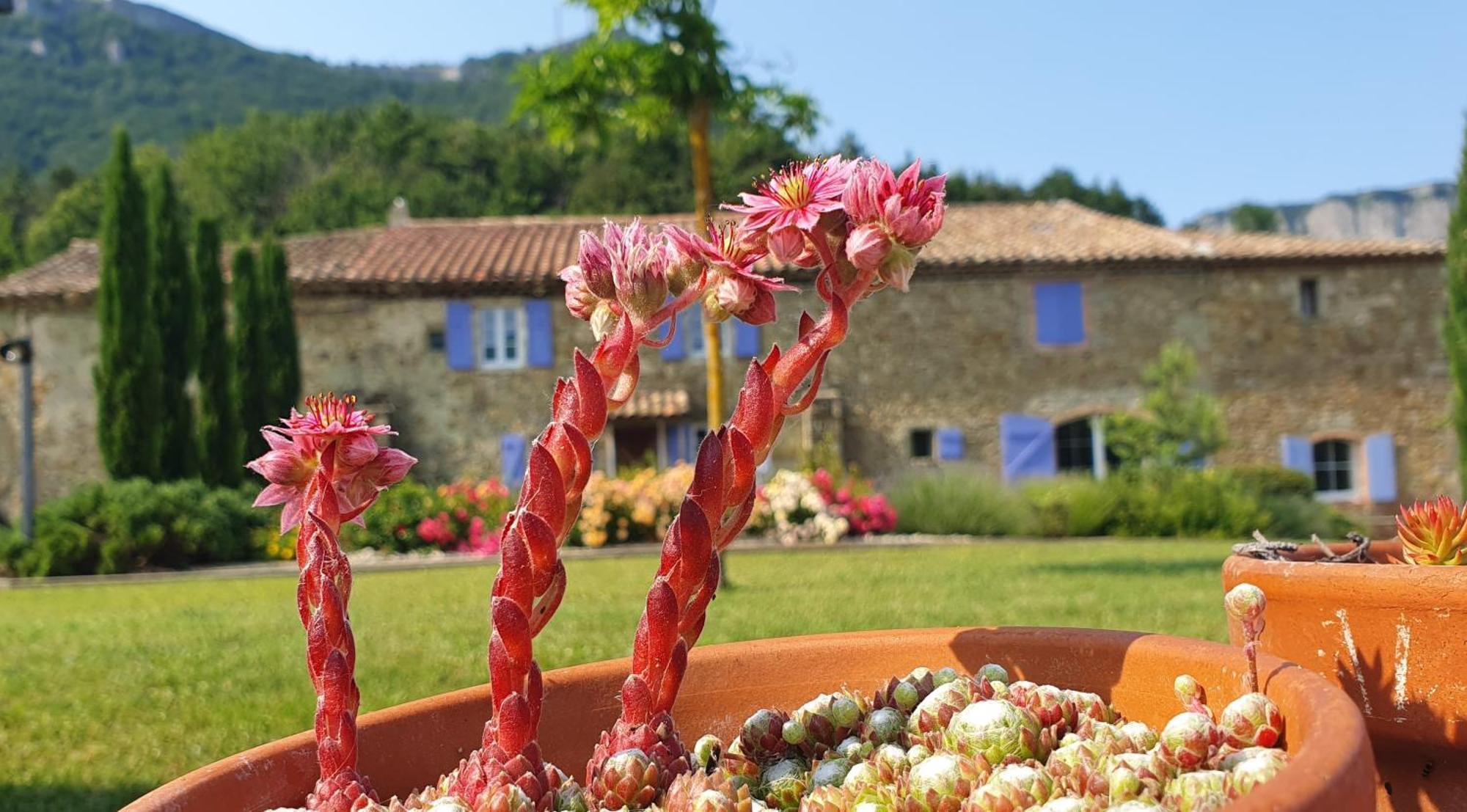 Chambres D'Hotes Le St Maurice Truinas Kültér fotó
